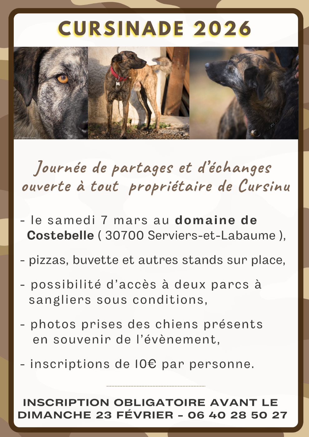 Cursinade 2026