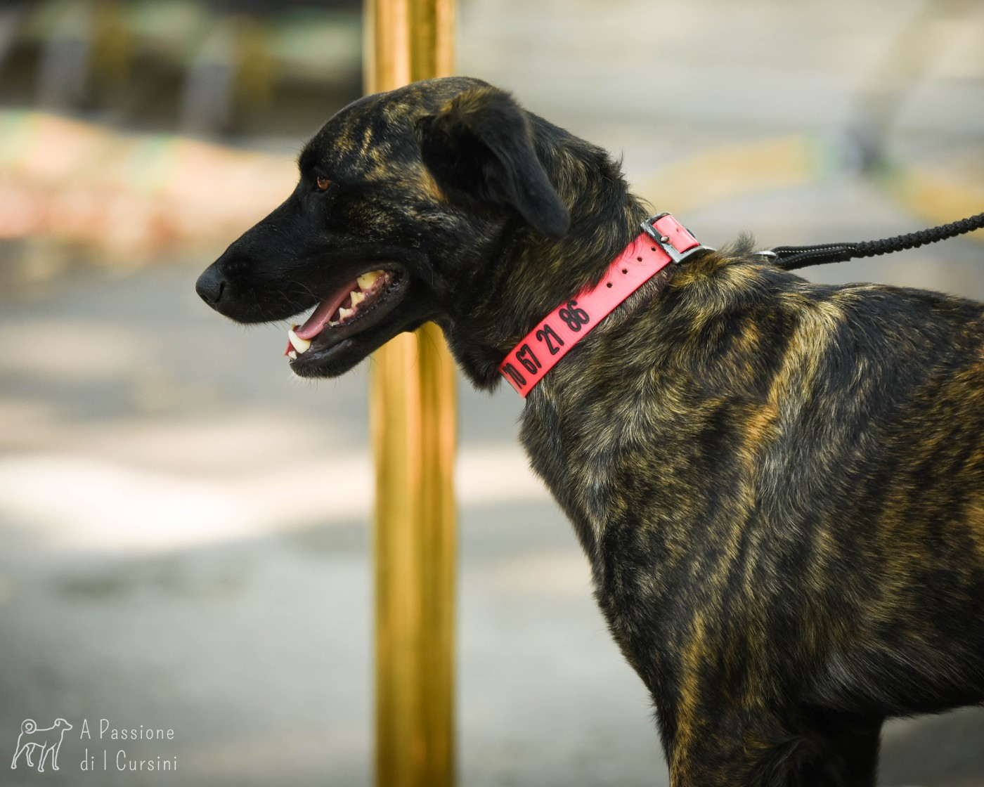 2025 - Retrouvailles